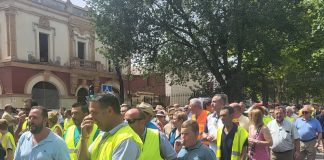 Ganaderos de Castilla-La Mancha piden que se eliminen las restricciones de movimientos de ovejas y corderos a más de cien kilómetros de los focos de viruela ovina