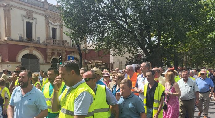Ganaderos de Castilla-La Mancha piden que se eliminen las restricciones de movimientos de ovejas y corderos a más de cien kilómetros de los focos de viruela ovina