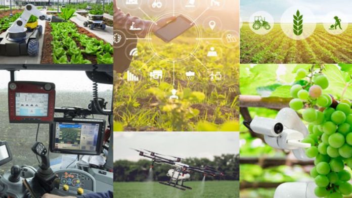 Observatorio de Digitalización del Sector Agroalimentario y del Medio Rural