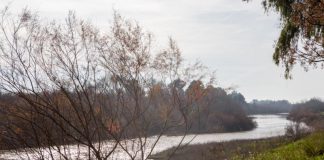 La cuenca del Guadalquivir aprueba la mayor dotación de riego desde 2017 Guadalquivir