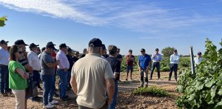 El riego subterráneo puede reducir hasta el 50 por ciento del consumo de agua Comunidad de Usuarios de Aguas Subterráneas (CUAS) Mancha Occidental II