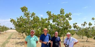 Prunotec colabora con IFAPA y la Universidad de Córdoba en un estudio sobre la evolución de almendro y pistacho Prunotec