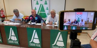 Pide que se reconozca la helada como origen de la reducción de cosecha que tendrán los viñedos afectados