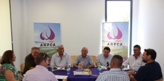 Campaña del ajo español 2023: baja en rendimientos y con una evolución complicada ANPCA (Asociación de Productores y Comercializadores de Ajos)