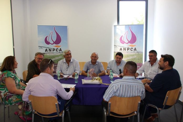 ANPCA (Asociación de Productores y Comercializadores de Ajos)