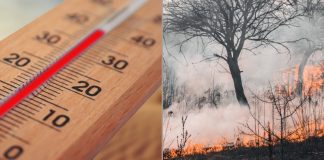 Protección Civil alerta por riesgo de muy altas temperaturas e incendios desde el domingo altas temperaturas