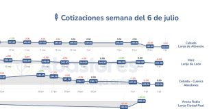 Las lonjas nacionales de cereal caen en un mercado internacional muy volátil lonjas nacionales de cereal