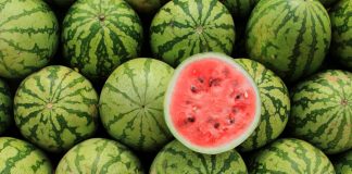 Denuncia un “movimiento especulativo” sobre la sandía para “manipular el mercado” sandías