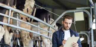 Evaluación de la calidad de la leche de vaca: Principales métodos y pruebas calidad de la leche de vaca
