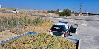 La Guardia Civil controla el transporte de uva y vino en el Marco de Jerez Guardia Civil