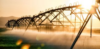 Abierta la convocatoria de las ayudas para digitalizar el regadío con 100 millones de euros regadío