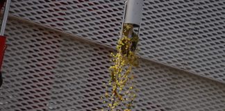 ¿Cuáles son las principales novedades legislativas de la presente vendimia de Castilla-La Mancha? descarga de uva