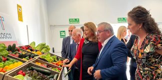 Solicita una “fórmula laboral y fiscal específica” para el campo, por sus peculiaridades