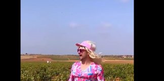Vídeo. Barbie vendimiadora, en La Mancha ¡Tronchante! BARBIE VENDIMIADORA