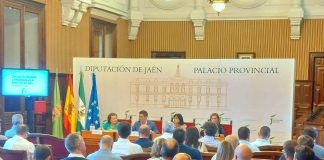 Diputación de Jaén impulsará un Plan Especial de Empleo para paliar la merma de jornales en la campaña de la aceituna Diputación Provincial de Jaén