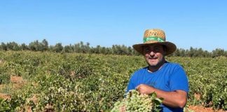 Apoyo urgente a nuestros agricultores. Diego Ruiz. Podemos Castilla-La Mancha y agricultor ecológico Diego Ruiz Figueroa