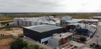 Una gran cooperativa manchega embotella sus vinos blancos mientras encara la recta final de la vendimia cooperativa El Progreso