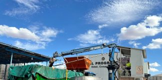 Una gran cooperativa comienza a vendimiar la variedad blanca Airén vendimia