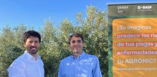 BASF y VEGGA unen fuerzas para potenciar la agricultura digital, sostenible y de precisión BASF y VEGGA