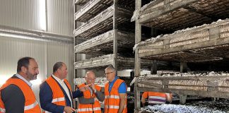 La Comisión Sectorial del Champiñón de Cooperativas Agro-alimentarias analiza la difícil situación que atraviesa el sector Cooperativa Champinter