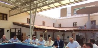 Los precios en origen de sandía y melón siguen en picado