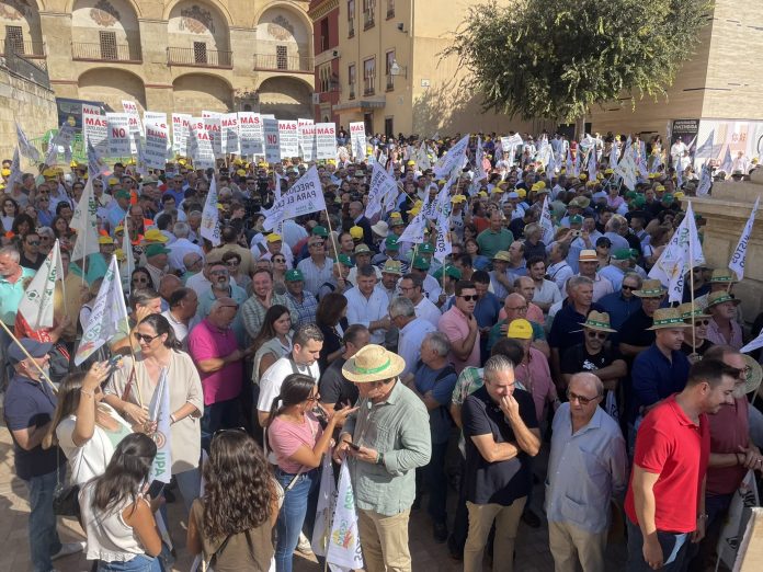 Manifestación Cordoba