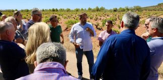 Agricultores de la DO Valdepeñas trasladan su “preocupación máxima” a representantes del PP de Castilla-La Mancha PP de Castilla-La Mancha