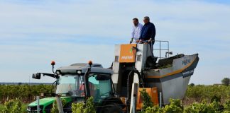 Núñez pide al Gobierno de Castilla-La Mancha sensibilidad con el sector primario ante el momento de “extrema dificultad” que atraviesa vendimia PP