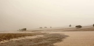 ¿Cómo han afectado las tormentas y lluvias torrenciales a los cultivos de Castilla-La Mancha? campo lluvias
