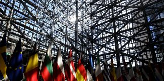 Expertos piden a Bruselas ajustar mejor los pagos de la PAC a necesidades socioeconómicas UE