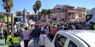 Paralizarán la entrega de aceituna de verdeo en Cáceres manifestación Villanueva de la Sierra
