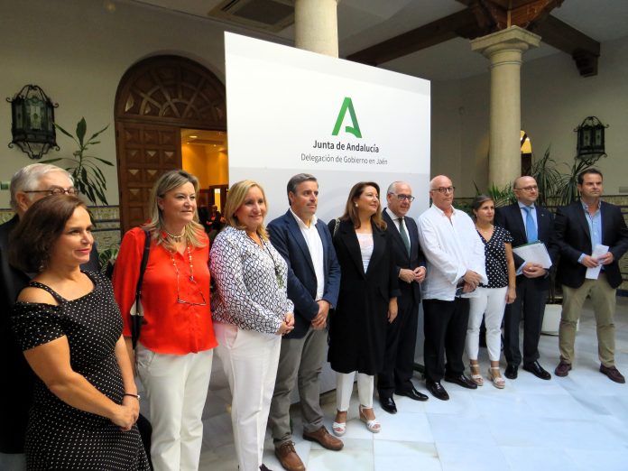 AFORO OLIVAR ANDALUCIA aforo del olivar