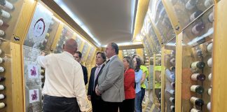 Castilla-La Mancha cierra la campaña vitivinícola 2022-2023 con una facturación de 882 millones consejero en DO La Mancha