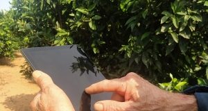 Pide exceptuar el cuaderno digital a las explotaciones menores de 15 hectáreas de regadío, 30 de secano y pastos cuaderno digital de explotación