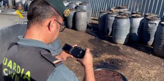 Intervenidas más de 74 toneladas de aceitunas robadas en dos operaciones robo aceitunas