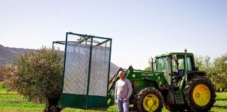 Vídeo. El inventor de la ‘Tomasenka’ (recolectora de aceitunas) detalla su idea Tomasenka