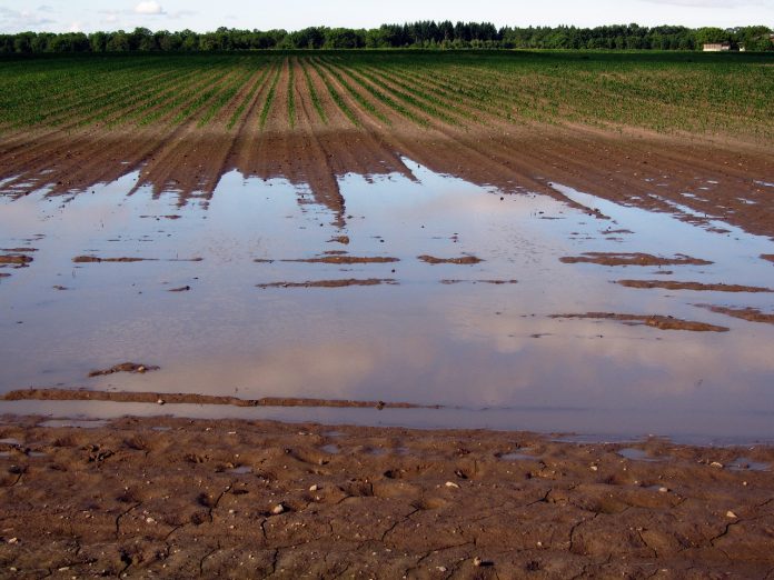 campo anegado