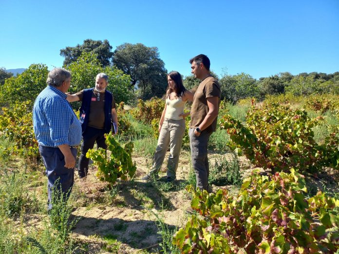 Unión de Pequeños Agricultores y Ganaderos de Madrid