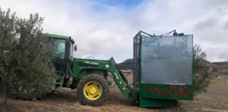Vídeo. ¿Cómo funciona la ‘Tomasenka’? El invento de un agricultor de Guadalajara para recolectar aceituna Tomasenka