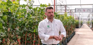 El cultivo del pistacho: una ola verde de innovación. Ángel Minaya. CEO de Agróptimum Ángel Minaya