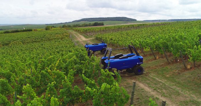 DCIM100MEDIADJI_0007.JPG Tractor vitícola autónomo Bakus