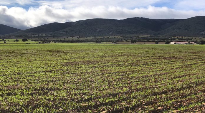 Las fincas rústicas resisten mejor que la vivienda en el arranque de 2026 compraventa de fincas rústicas