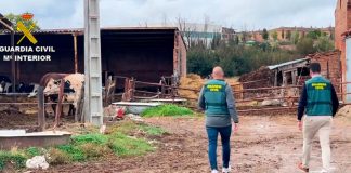 Desarticulada en Albacete una red criminal madrileña que robaba en instalaciones agrícolas Guardia Civil