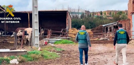Guardia Civil