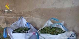 La Guardia Civil detiene en Malagón a tres personas tras el robo de 1.200 kilos de aceituna robo de aceitunas