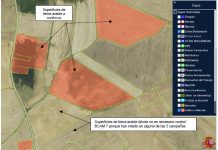 La importancia del SIGPAC en la solicitud de la PAC 2026 SIGPAC