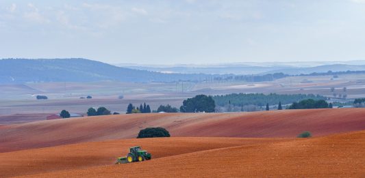 campo