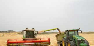 Reclama ayudas directas y un fondo de crisis para equilibrar al sector cerealista cereales