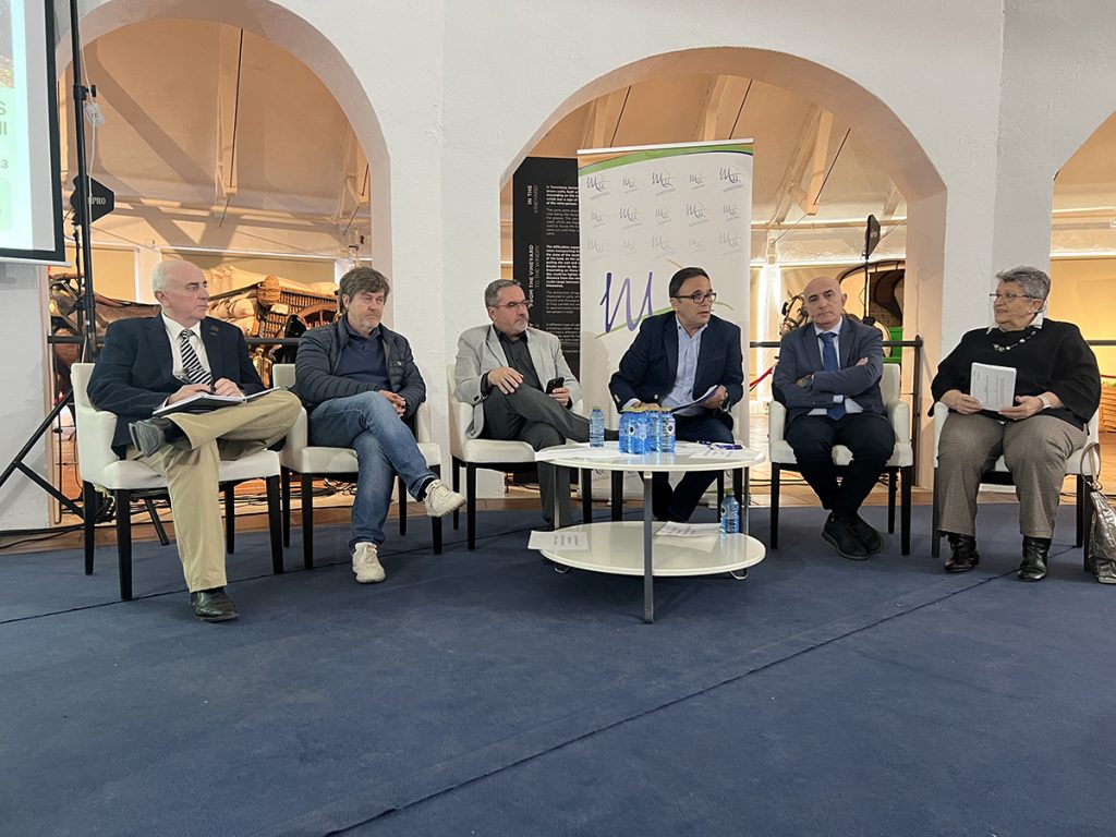 CUAS Mancha Occidental II