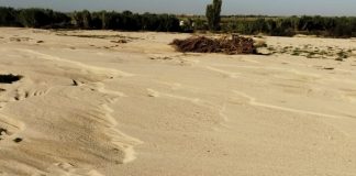 Los agricultores europeos piden un pilar especial de la PAC ante riesgos como la DANA DANA